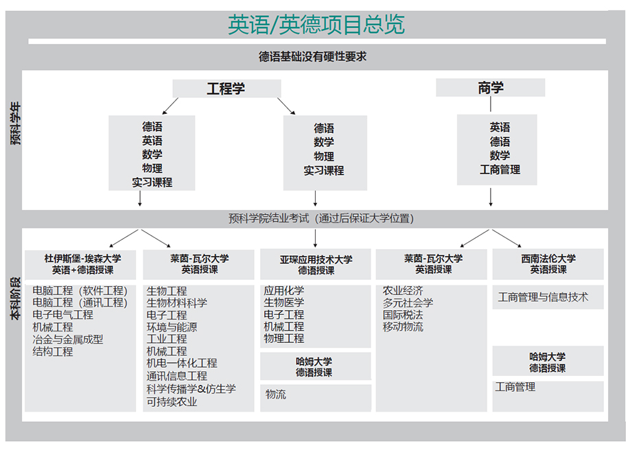 项目.jpg